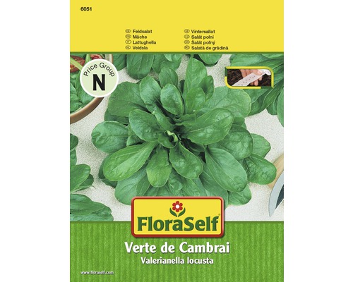 Poľníček 'Verte de Cambrai' FloraSelf výsevný pás-0