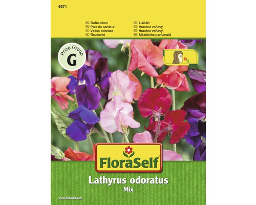 FloraSelf Hrachor voňavý Lathyrus odoratus zmes semien
