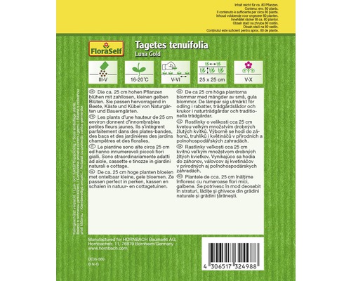 Balenie semien Tagetes tenuifolia Luna Gold