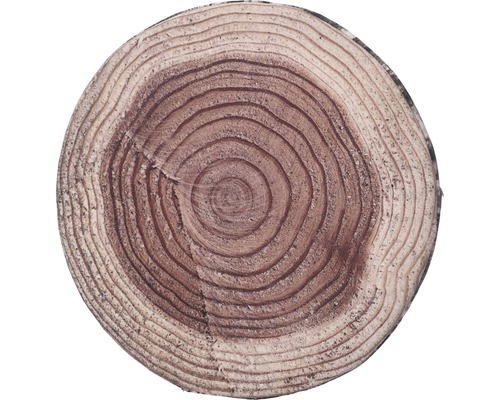 Rezaný kmeň stromu s letokruhmi