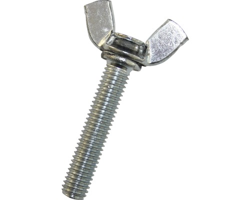 Skrutka s krídlovou maticou