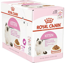 Royal Canin Kitten vlhké krmivo viacpočetné balenie pre mladé mačky do dvanástich mesiacov