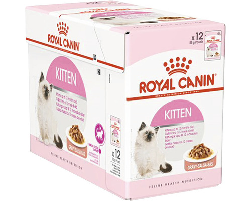 Royal Canin Kitten vlhké krmivo viacpočetné balenie pre mladé mačky do dvanástich mesiacov