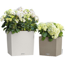 Dva štvorcové kvetináče s pleteným vzorom a osadené hortenziami