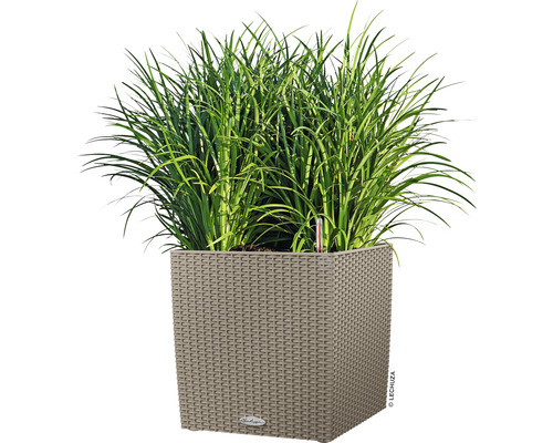 Štvorcový kvetináč s osadením