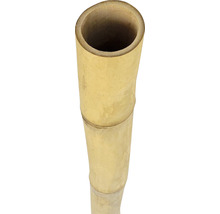 Bambusová rúrka Ø 7-8 cm dĺžka 200 cm-thumb-0