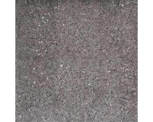 Sivá podlahová dlaždica so škvrnitým povrchom.