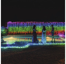 Scéna s ľuďmi pri bazéne osvetlená viacfarebnou svetelnou reťazou