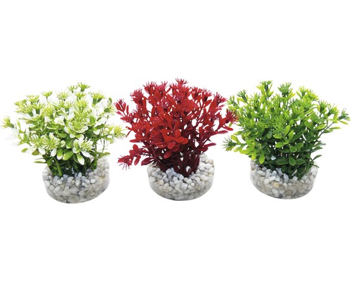 Dekorácia do akvária Sydeco Nano Flowering Bush plastová rastlina mix farieb 10 cm Tri umelé akvarijné rastliny z plastu v bielej, červenej a zelenej farbe