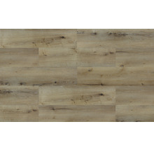 Vinylová podlaha lepená buk Dry Back dielce Native Oak+ 91 x 15 cm balenie 15 ks