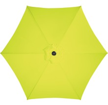 Pohľad zhora na slnečník