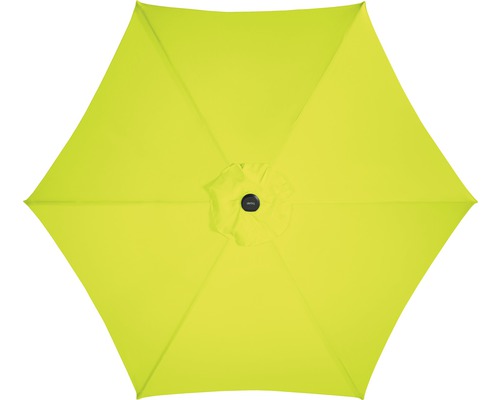 Pohľad zhora na slnečník