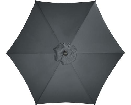 Sivý slnečník zdola