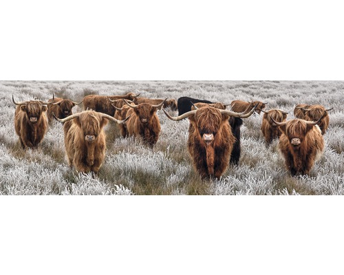 Obraz na plátne Stádo dobytka 150x50 cm