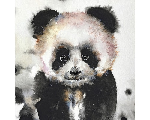 Obraz na plátne Panda 30x30 cm