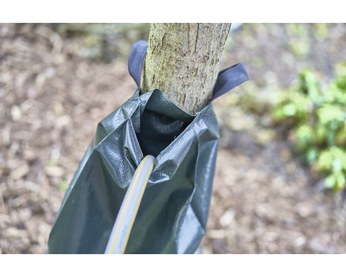 Zavlažovací vak na kmeni stromu so zavedenou vodnou hadicou