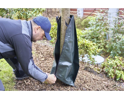 Muž pripevňuje zavlažovací vak so zipsom ku kmeňu stromu v záhrade