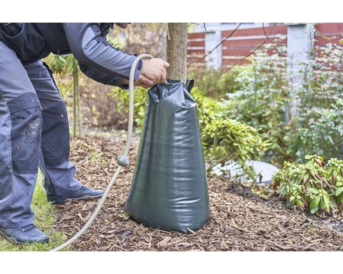 Zavlažovací vak na stromy sa plní hadicou