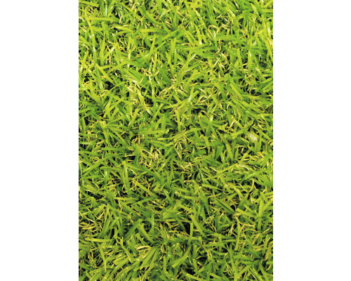 Umelý trávnik Garden Grass zelený šírka 100 cm (metráž) Umelý trávnik v detaile