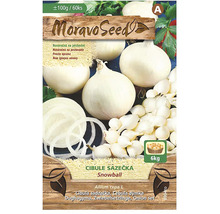 Sadzobná cibuľa Snowball, balenie