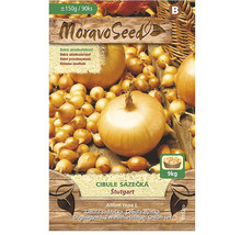 MoravoSeed Cibuľa sadzačka Stuttgart, približne 150 gramov alebo 90 kusov