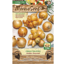 Balenie šalotky Moravo Seed Golden Gourmet