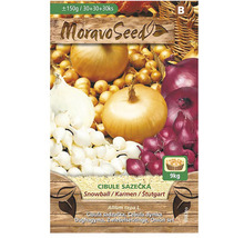 Sadzacia cibuľa Moravo Seed, Snowball, Karmen, Stuttgart, 9 kilogramov