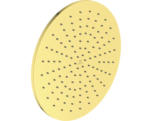 Okrúhla hlavová sprcha z kovu s vodnými tryskami a logom Ideal Standard