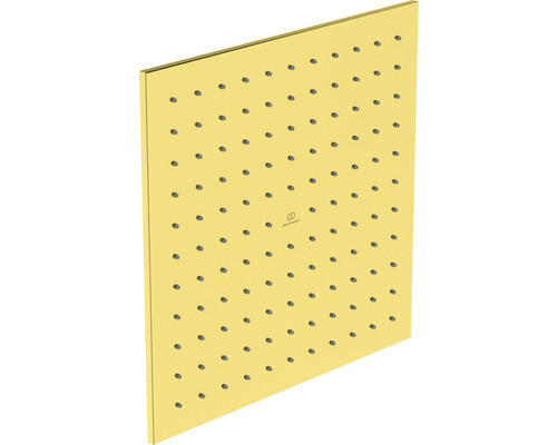 Štvorcová sprchová hlavica z kovu s vodnými tryskami a logom American Standard