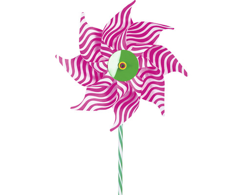 Veterník s ružovo-bielymi pruhmi a zeleným stredom