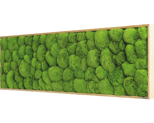 Machový obraz s dreveným rámom