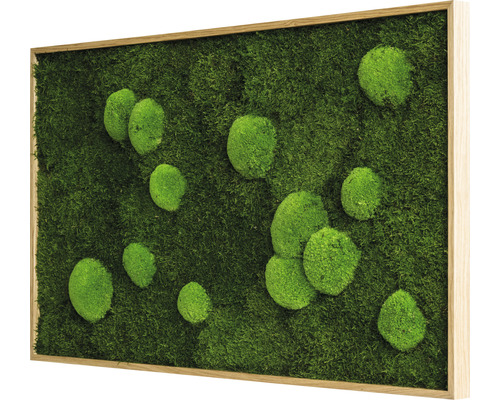 Machový obraz s rámom a rôznymi machovými guľami