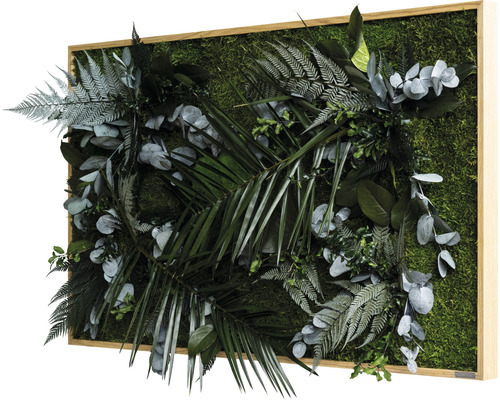 Machový obraz s rôznymi rastlinami v drevenom ráme