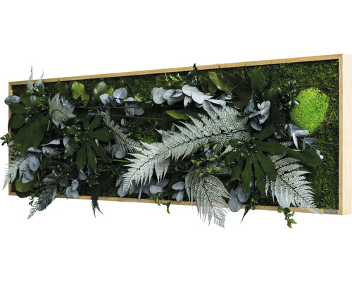 Machový obraz s rôznymi rastlinami v drevenom ráme