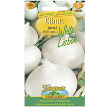 Semená cibule White Lisbon