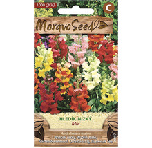 MoravoSeed Nízky mix papuľky Balenie semien