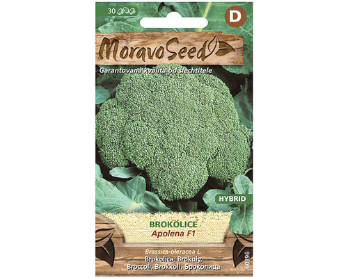 Brokolica Apolena F1 - hybrid MoravoSeed