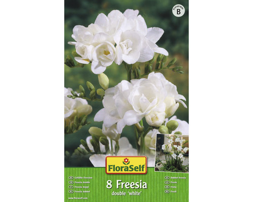 Frézia plnokvetá FloraSelf 'White' 8 ks biela