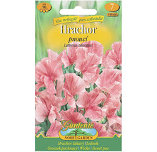 Balenie semien hrachora voňavého