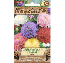 Balíček semien zmesi Moravo Seed Aster Princess