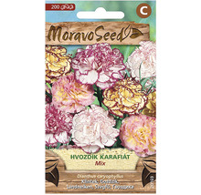 Balenie semien so zmesou klinčekov