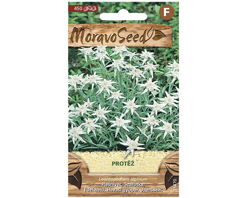 Moravo Seed balenie semien plesnivca alpínskeho