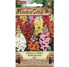 Moravo Seed Semená papuľky, vysoká, jednoduchá zmes