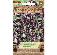 Balenie semien plnokvetého klinčeka čínskeho od spoločnosti MoravoSeed