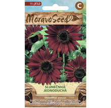Moravo Seed Balenie semien slnečnice s tmavočervenými kvetmi