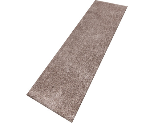 Koberec s dlhým vlasom