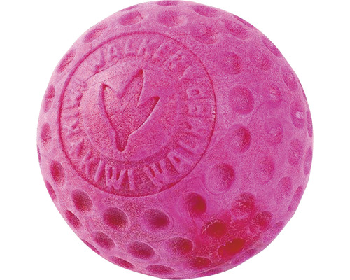 Ružový loptička pre psov Walker Valies s logom