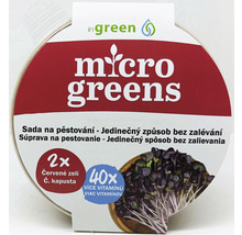 Súprava na pestovanie Microgreens s červenou kapustou