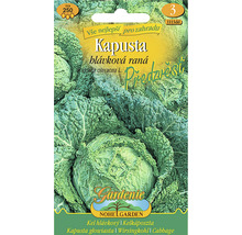 Balenie semien hlávkovej kapusty