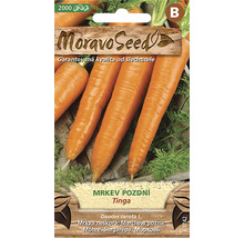 Moravo Seed Semienka neskorej mrkvy Tinga